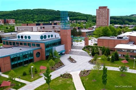 binghamton admissions|bing admissions portal.